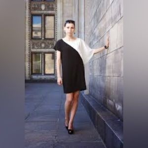 Zara Asymmetric Shift Dress